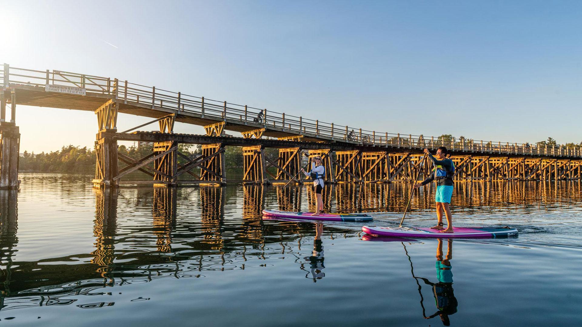 A couple paddle boarding in Victoria, BC