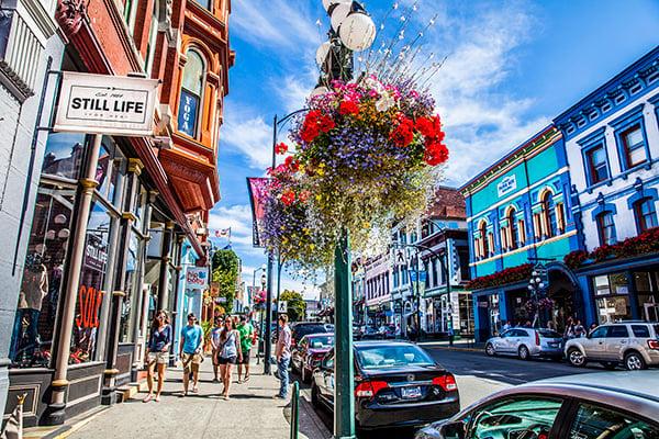 lower johnson street on a warm, sunny summer day