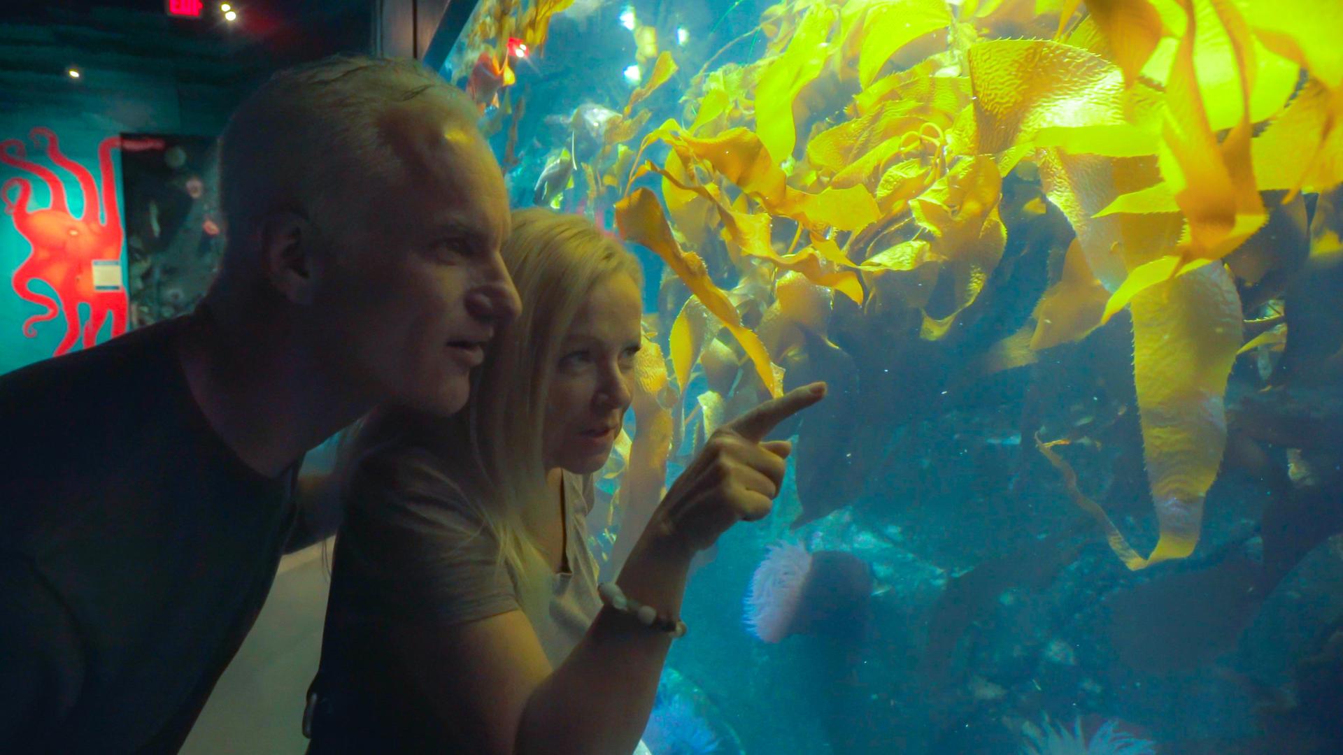 A father and daughter check out the aquarium at the Shaw Centre for the Salish Sea
