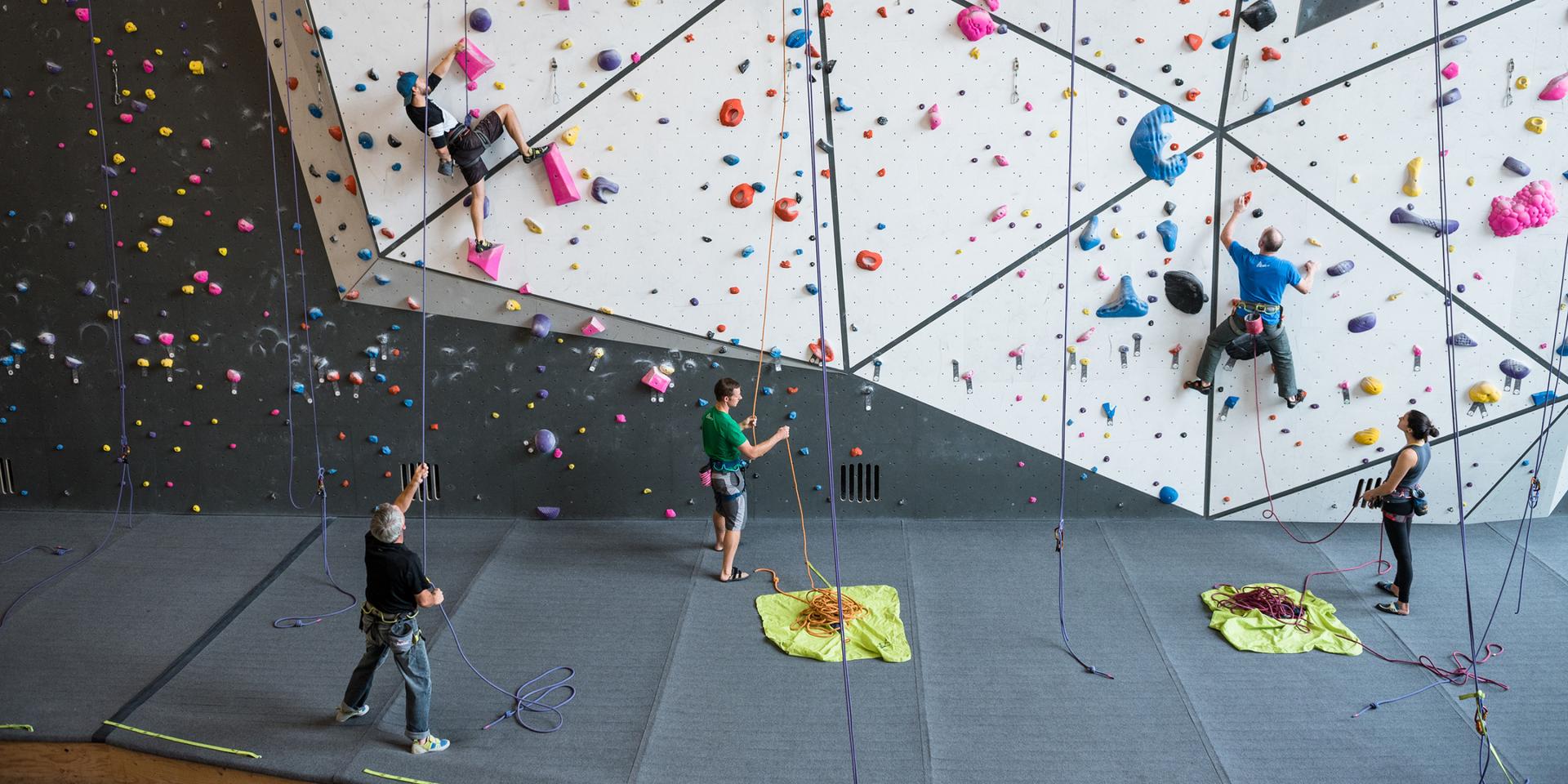 Climbing on the multicoloured holds.