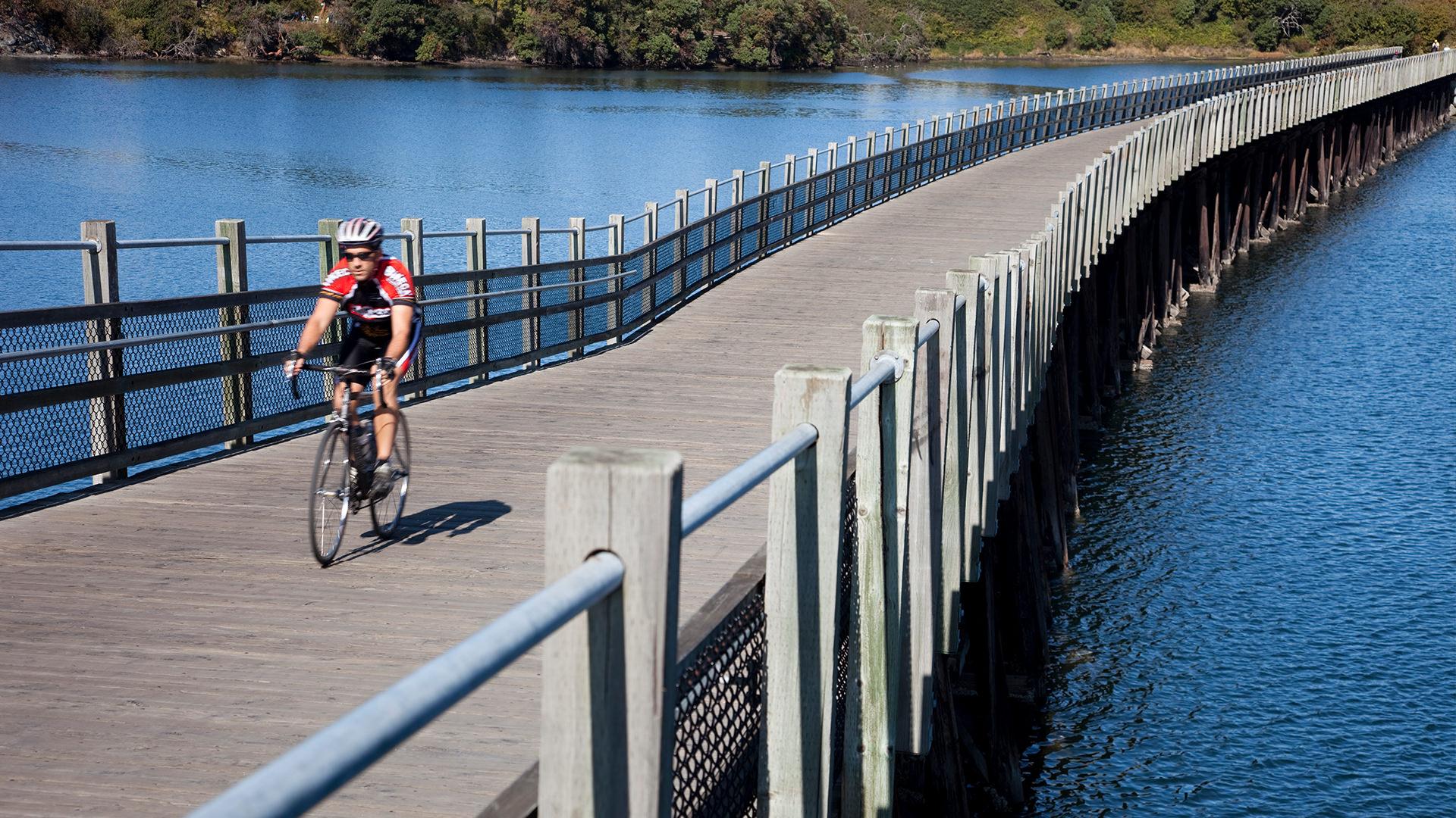 A person on a bike in Victoria, BC