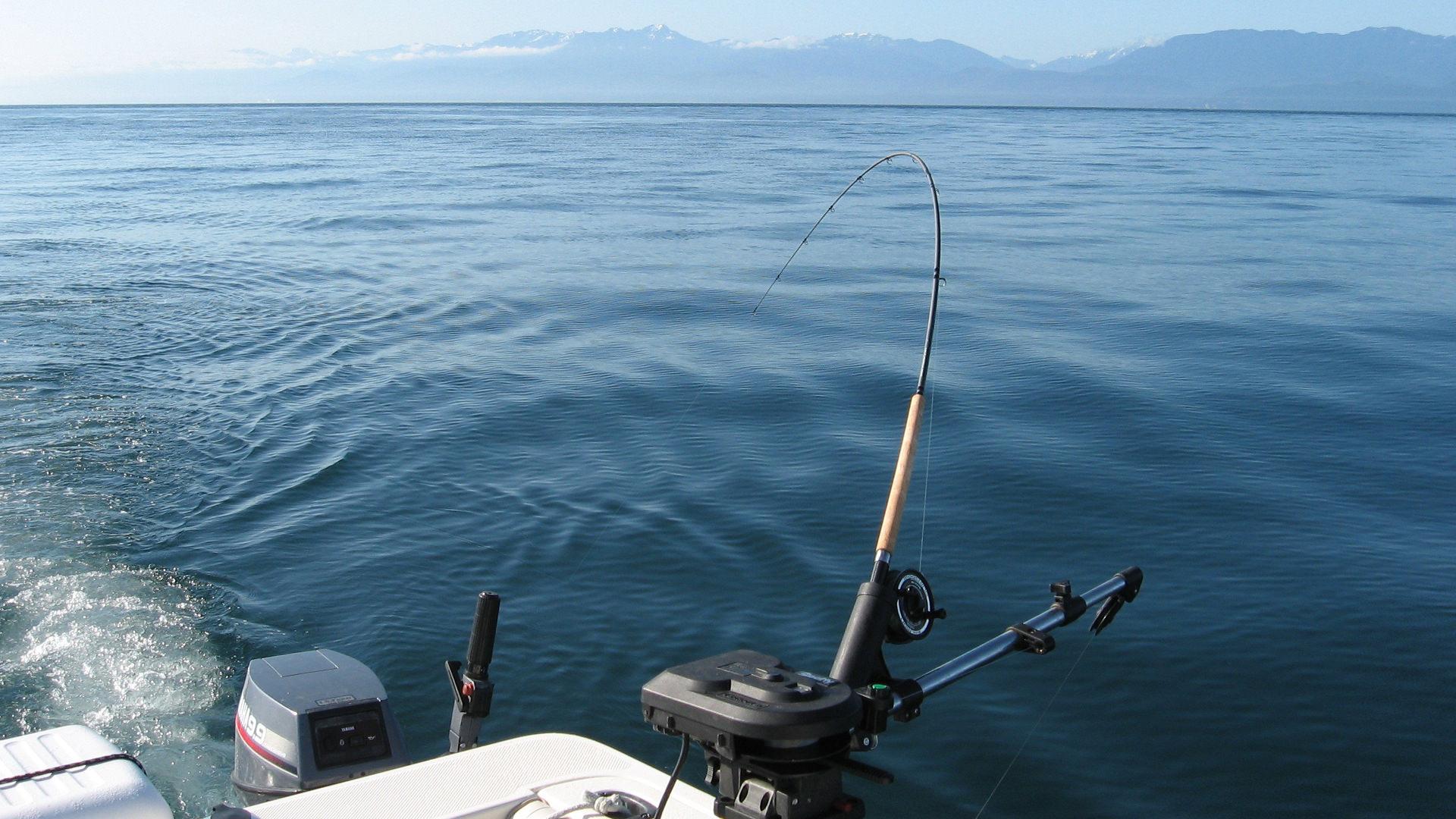 A fisherman in Victoria, BC