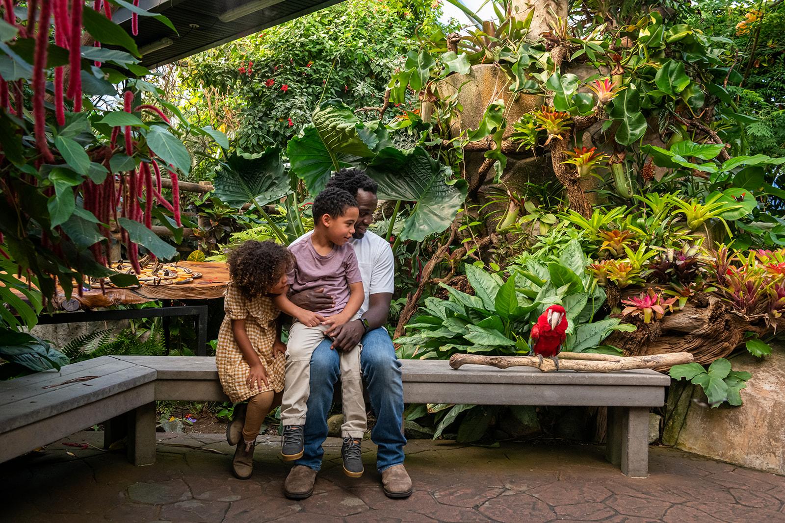 A family explores the Victoria Butterfly Gardens, spotting a parrot A family explores the Victoria Butterfly Gardens, spotting a parrot