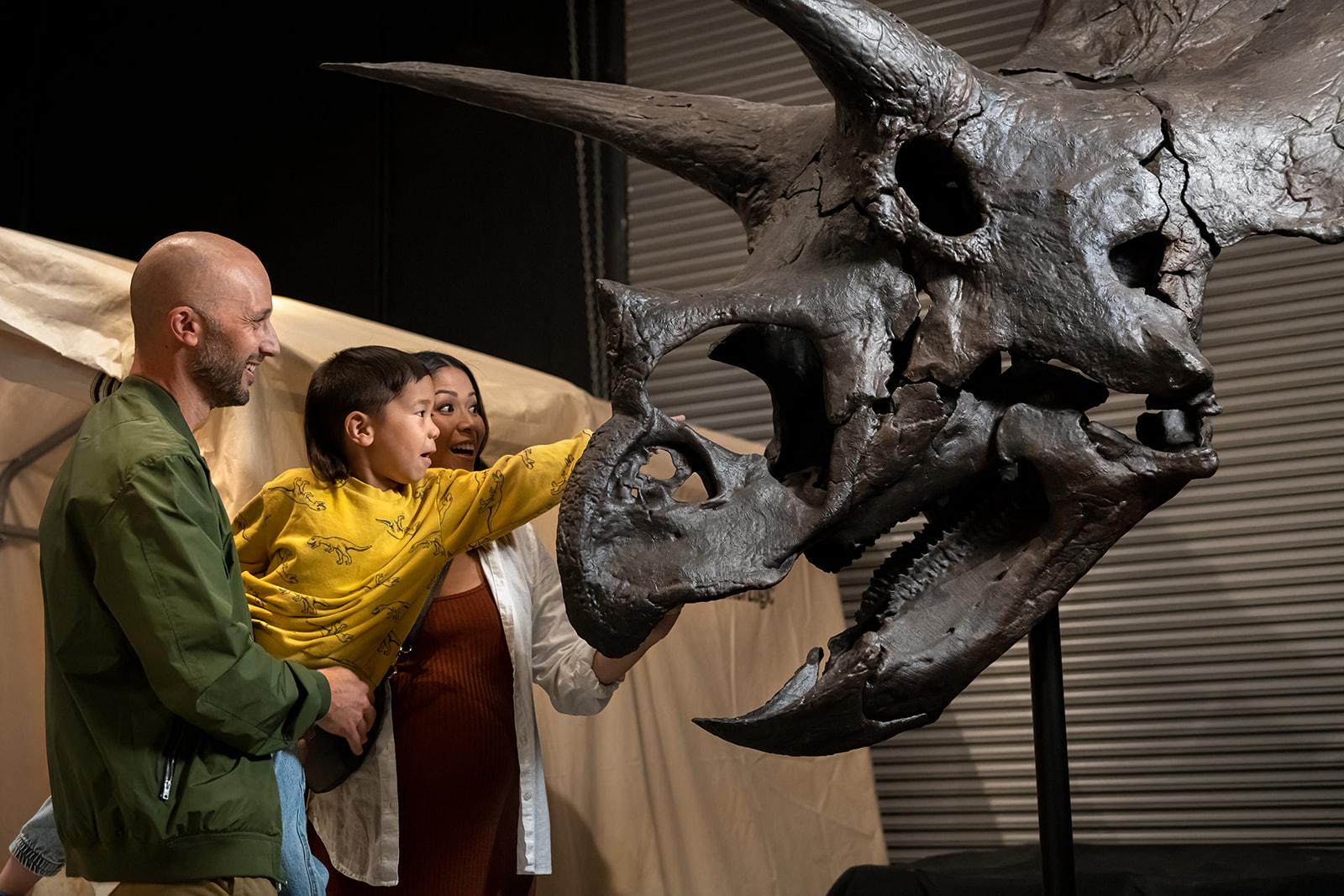 A young family uncovers the past with a Triceratops skeleton at Dino Lab A young family uncovers the past with a Triceratops skeleton at Dino Lab