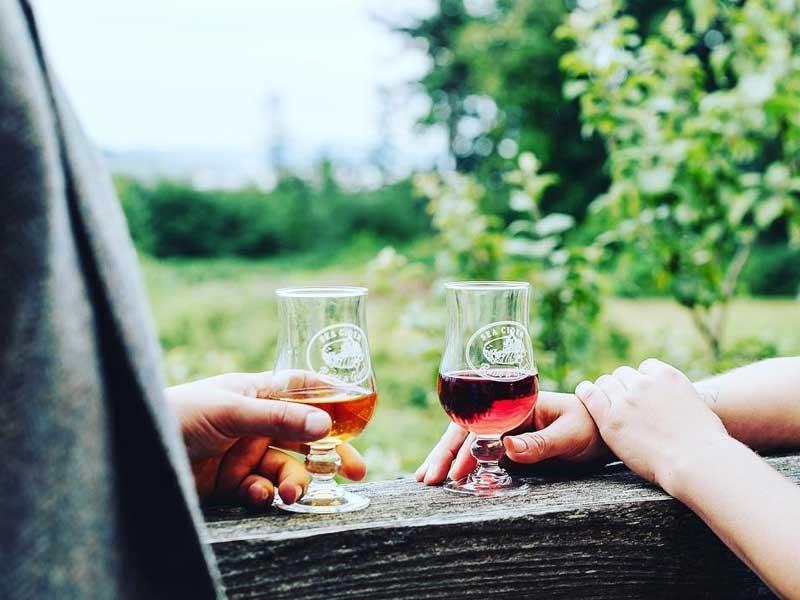 Sea Cider Tasting Sea Cider Tasting