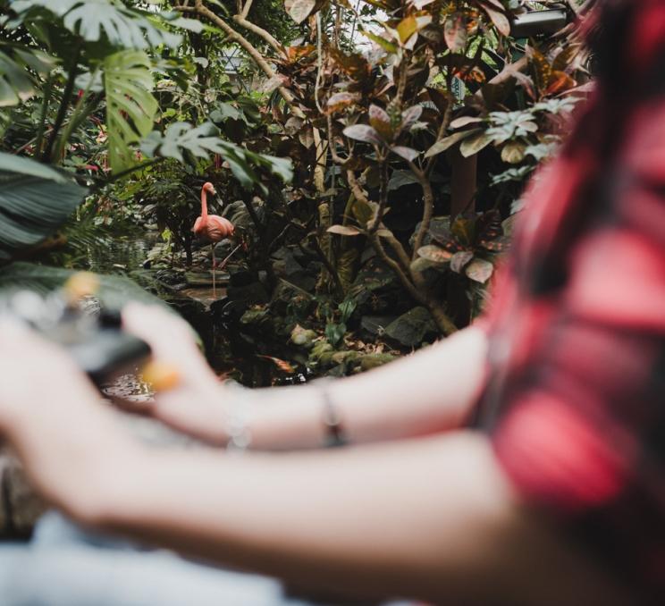 Victoria Butterfly Garden