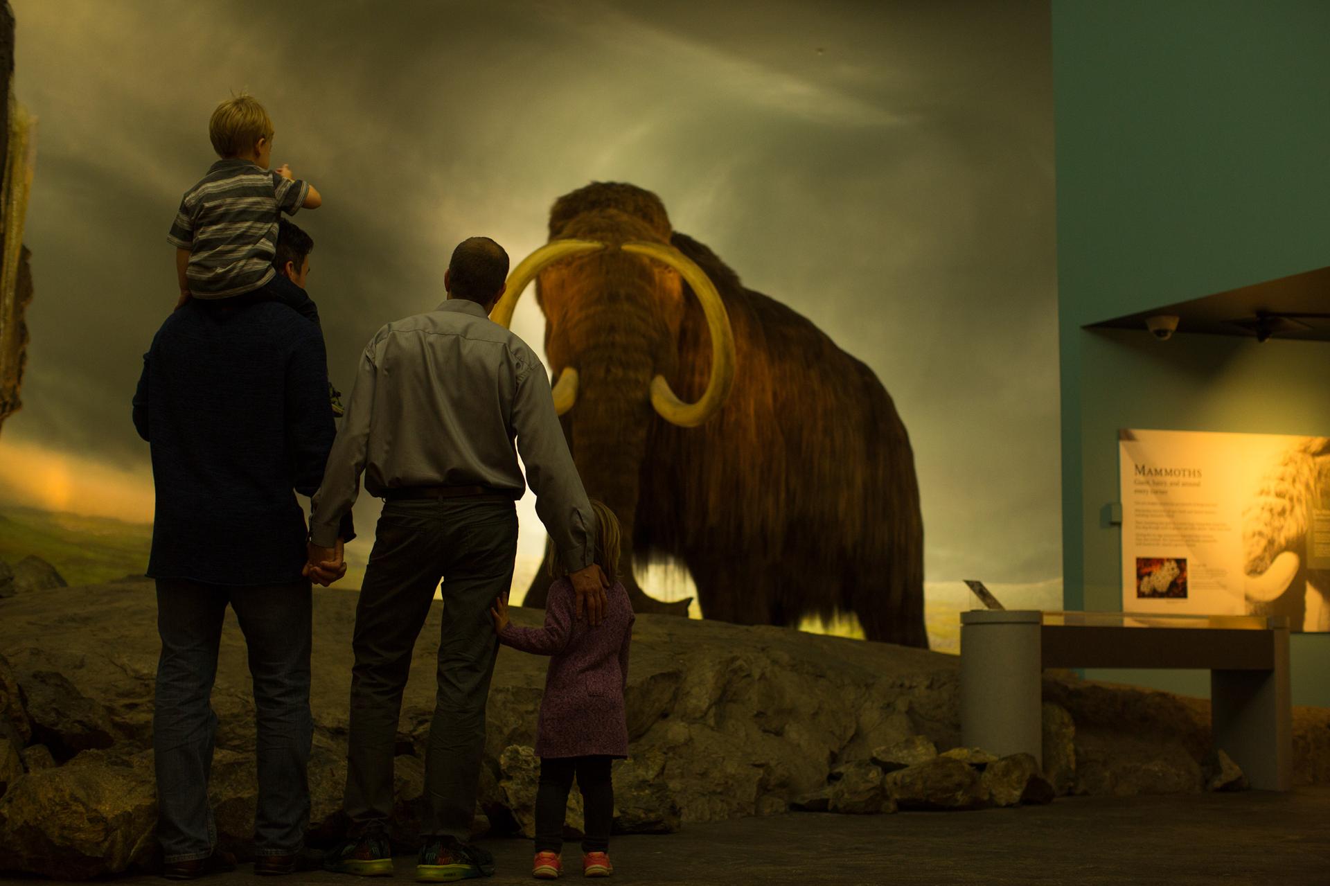 Young family admires wooly the mammoth at the Royal BC Museum Young family admires wooly the mammoth at the Royal BC Museum