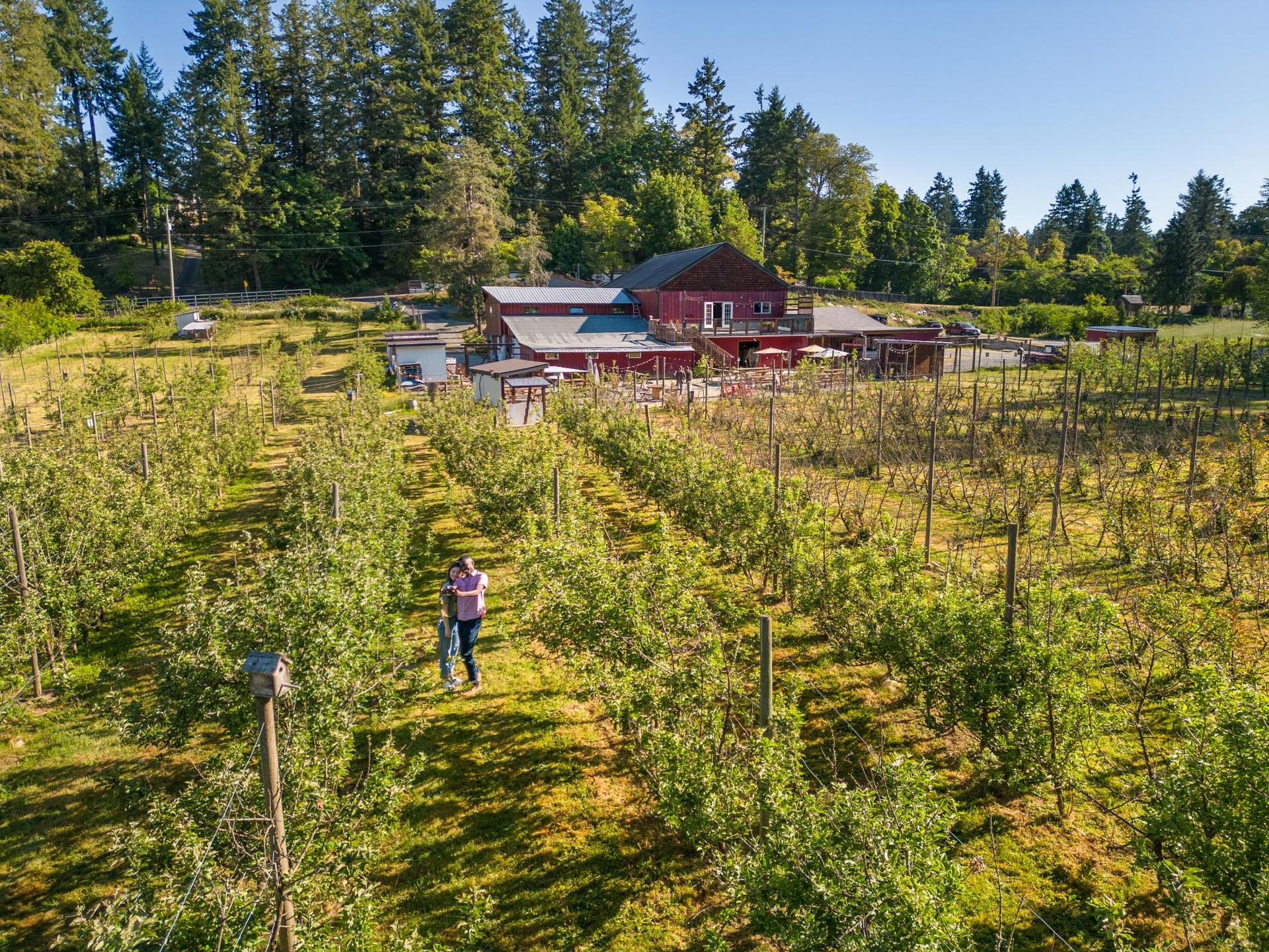 The Flavour Trails A couple visits Junction Orchard in Victoria, B.C.